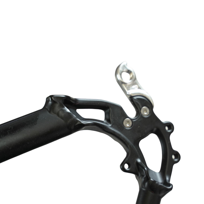 Derailleur Hanger