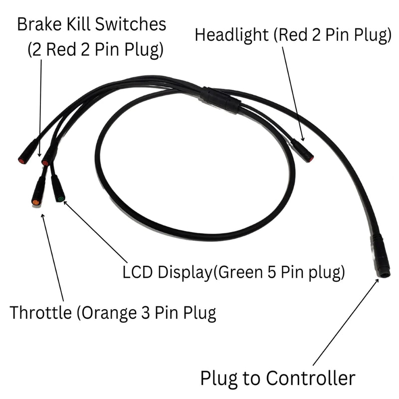 Wiring Harness for Beach Bum (V1)